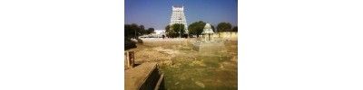 மடவார் வளாகம்